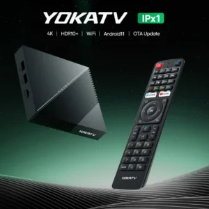 IPX1
